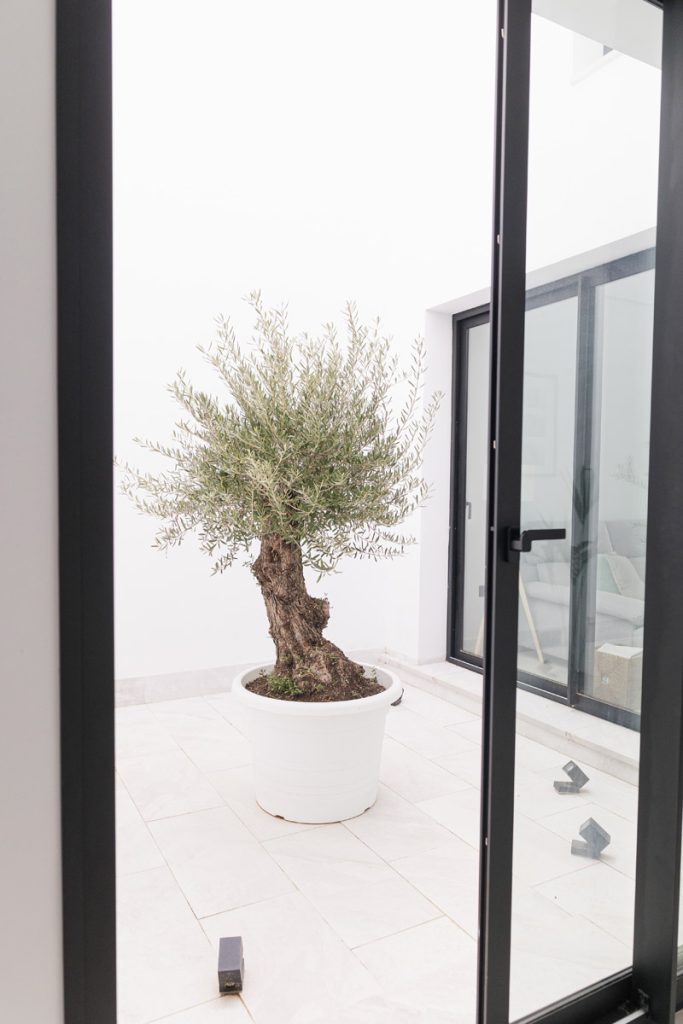 Obra Nueva | MXM Arquitectura