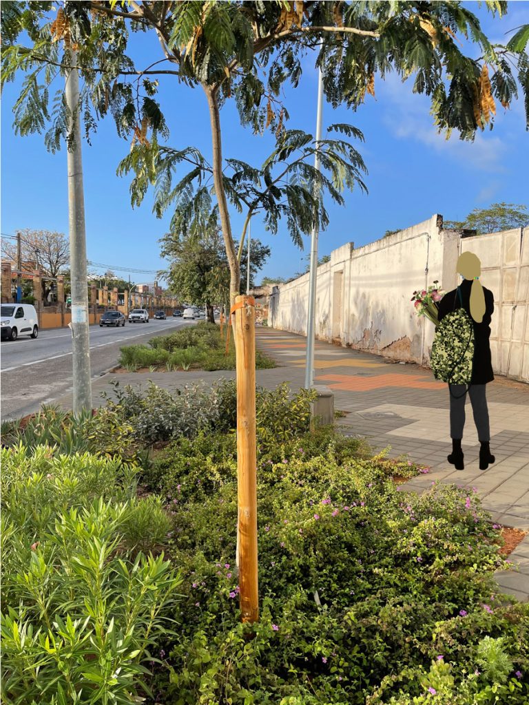 Urbanismo | MXM Arquitectura